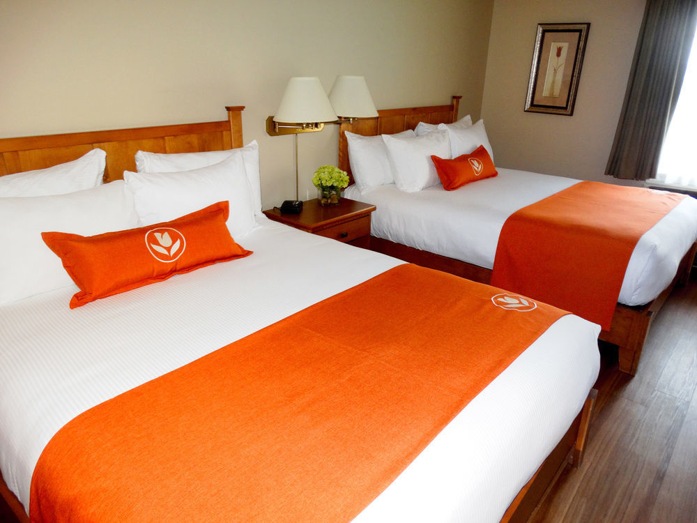 Quality Inn & Suites Amsterdam Fredericton Kültér fotó